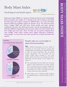 Body Mass Index cover image